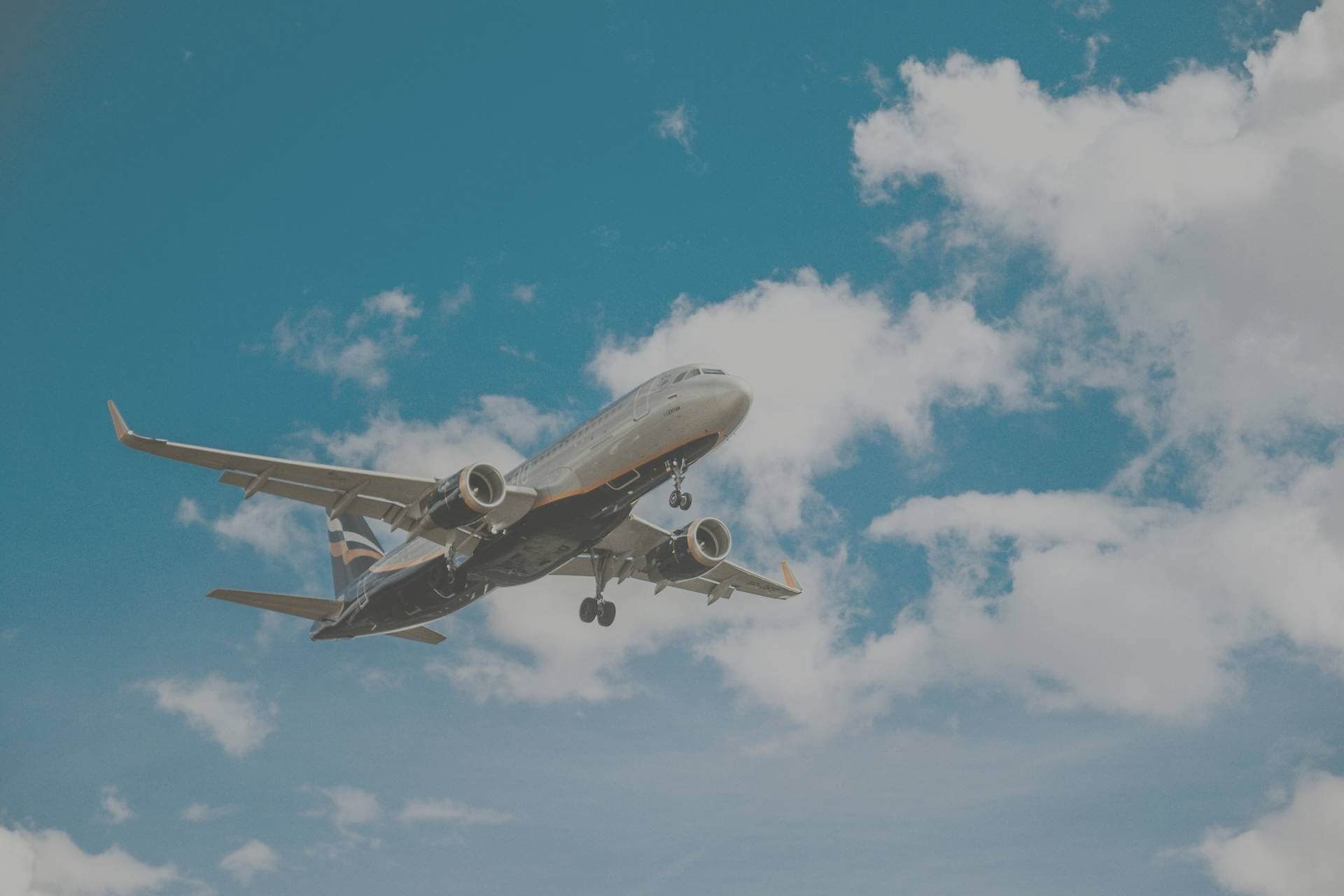 Airlines that Fly to Los Cabos Airport