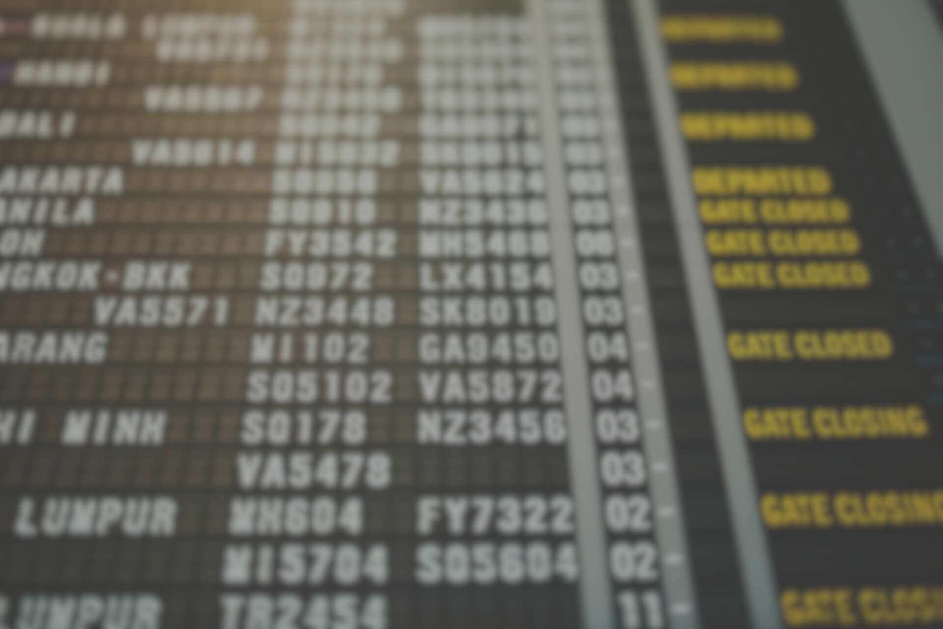 Los Cabos Airport Arrivals